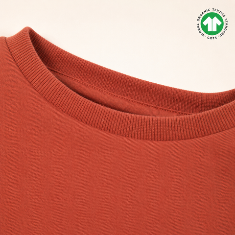Organic Cotton Sweatshirt Cute Teddy Print Rust