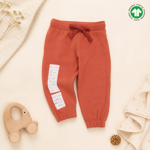 Organic Cotton Sweatshirt Jogger 2 Pcs Set