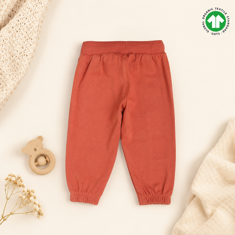 Organic Cotton Sweatshirt Jogger 2 Pcs Set