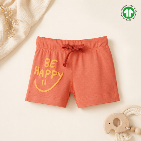 Organic Cotton Ruffle T Shirt and Shorts 2 Pcs Set