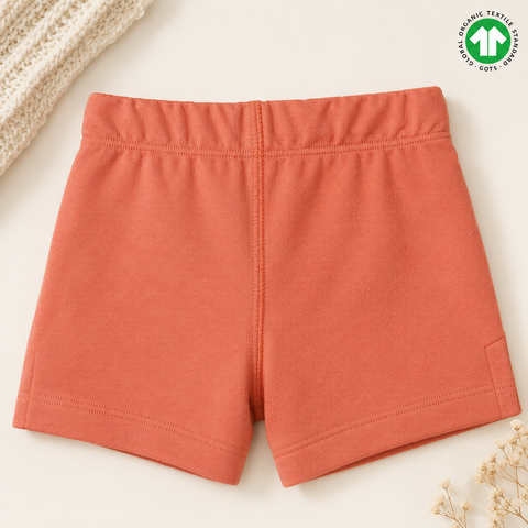 Organic Cotton Ruffle T Shirt and Shorts 2 Pcs Set