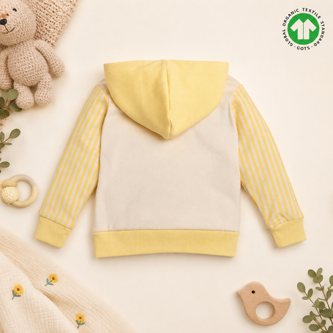 Baby Boys & Girls Teddy Bear Hoodie & Jogger 2 Pcs Set