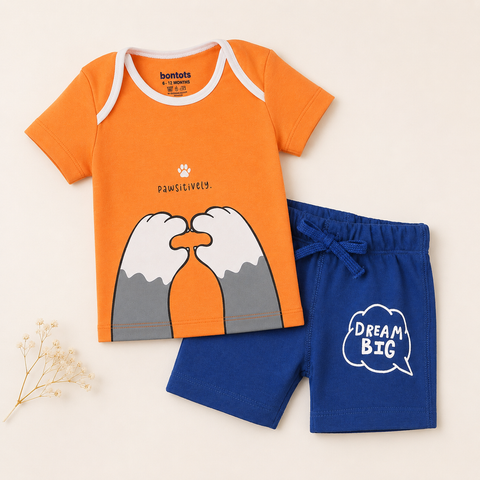 Organic Cotton Print T Shirt Shorts 2 Pcs Set