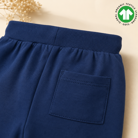 Organic Cotton Solid Stripe Jogger Boys Blue