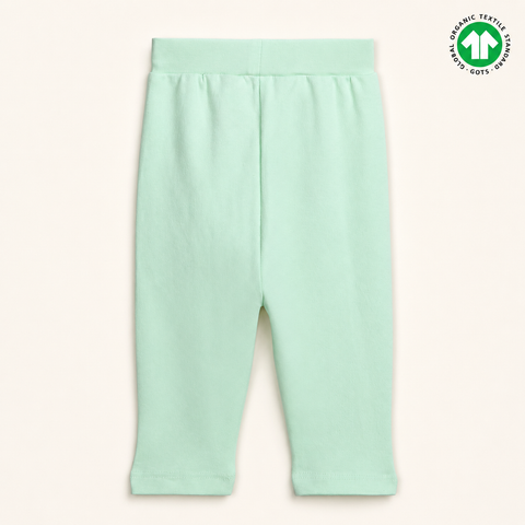 Organic Cotton Sea Horse Print Pajama Green