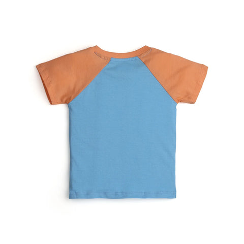 RAGLAN T SHIRT